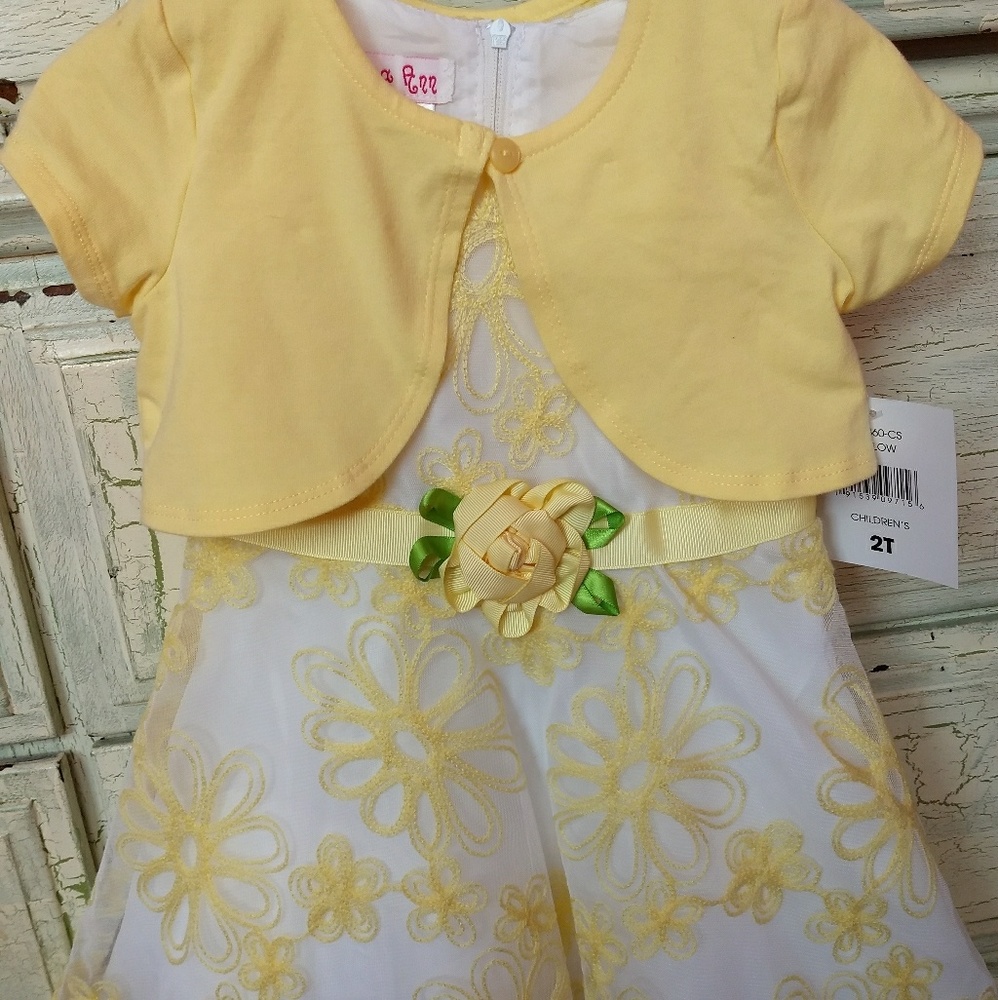 NWT 2T spring dress
